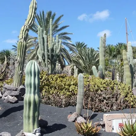 Alejandro, Panorama Jardin Βίλα